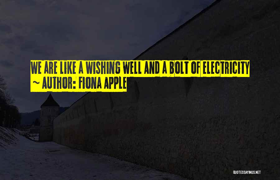 Fiona Apple Quotes: We Are Like A Wishing Well And A Bolt Of Electricity