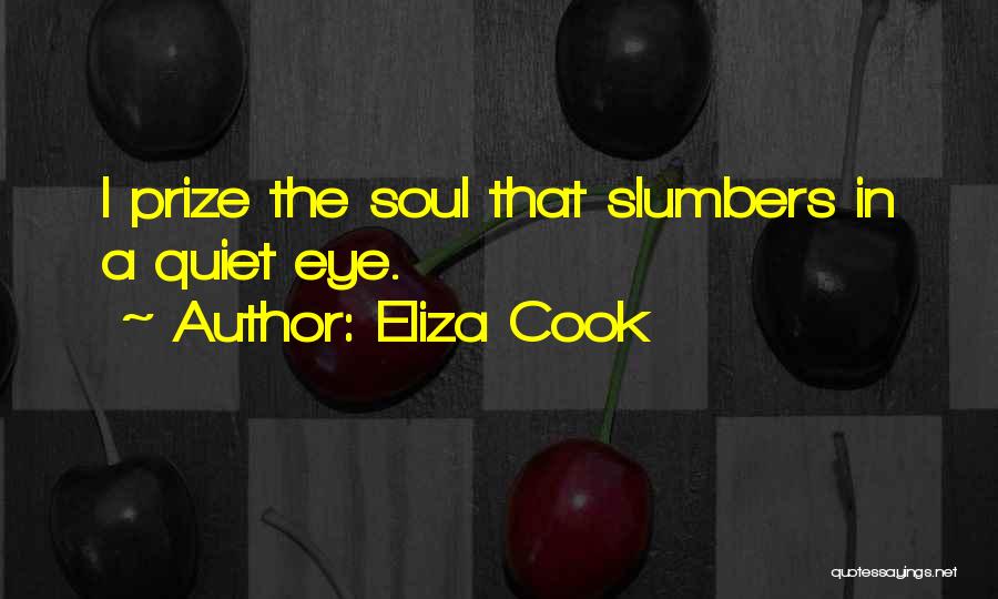 Eliza Cook Quotes: I Prize The Soul That Slumbers In A Quiet Eye.
