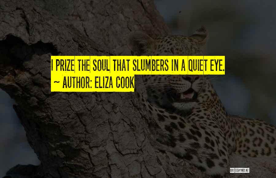 Eliza Cook Quotes: I Prize The Soul That Slumbers In A Quiet Eye.