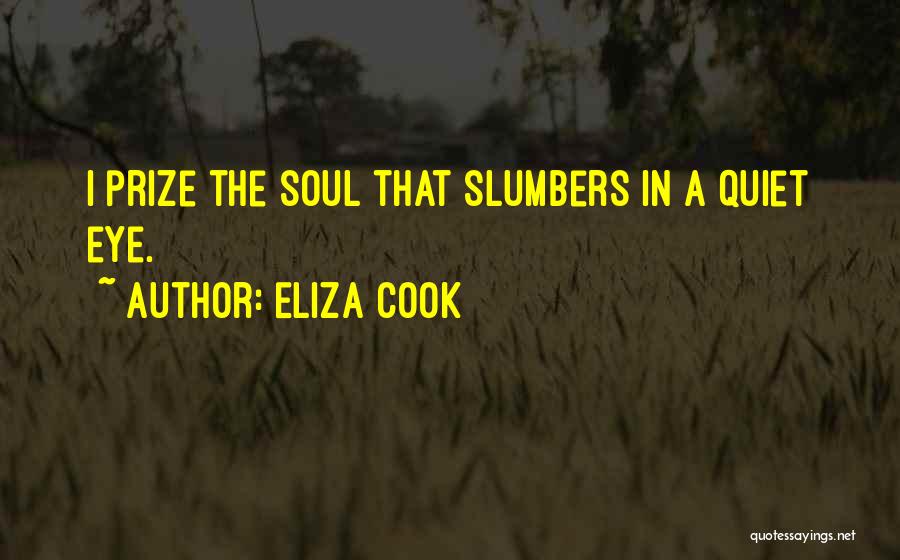 Eliza Cook Quotes: I Prize The Soul That Slumbers In A Quiet Eye.