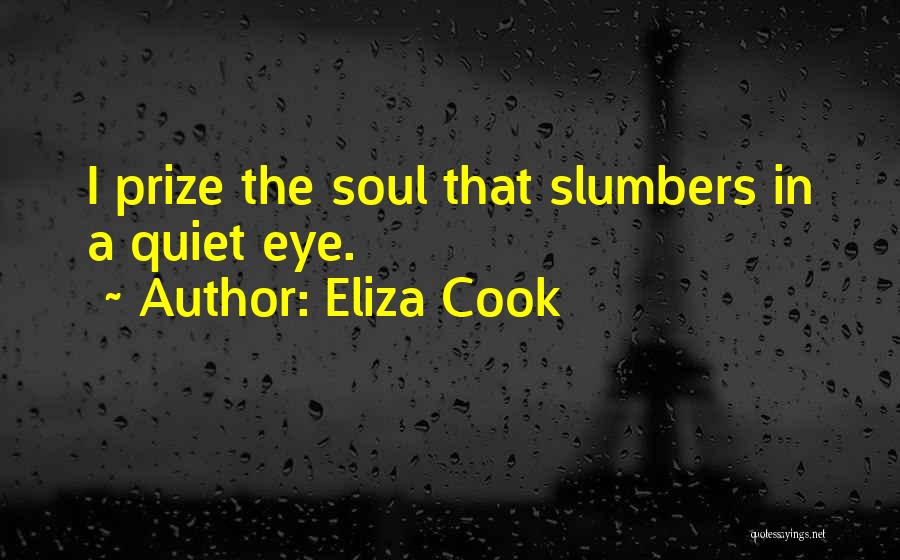 Eliza Cook Quotes: I Prize The Soul That Slumbers In A Quiet Eye.