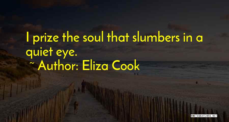 Eliza Cook Quotes: I Prize The Soul That Slumbers In A Quiet Eye.