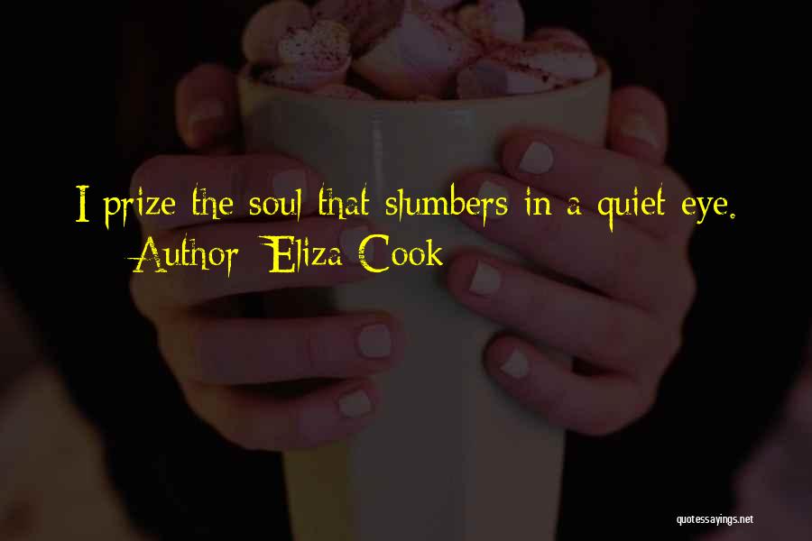 Eliza Cook Quotes: I Prize The Soul That Slumbers In A Quiet Eye.