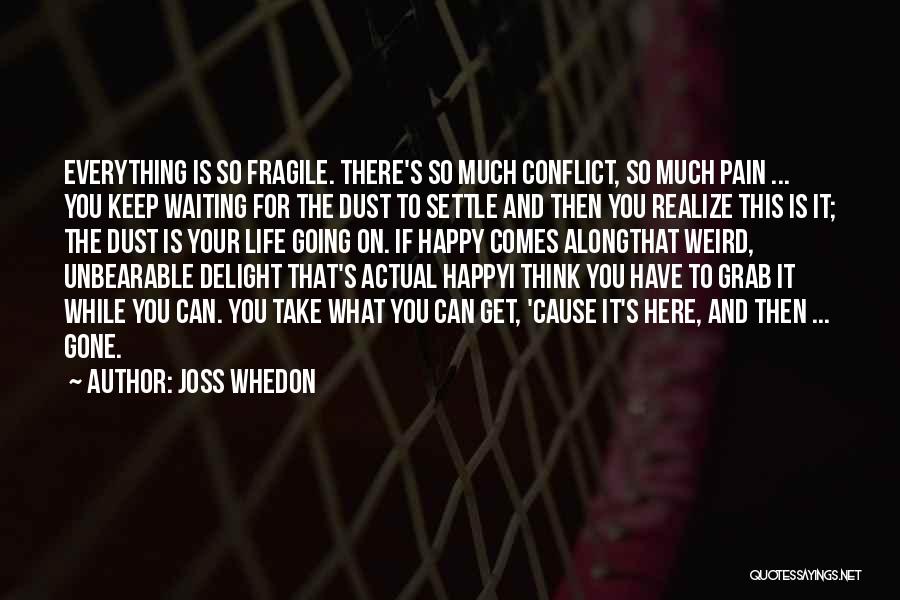 Joss Whedon Quotes: Everything Is So Fragile. There's So Much Conflict, So Much Pain ... You Keep Waiting For The Dust To Settle