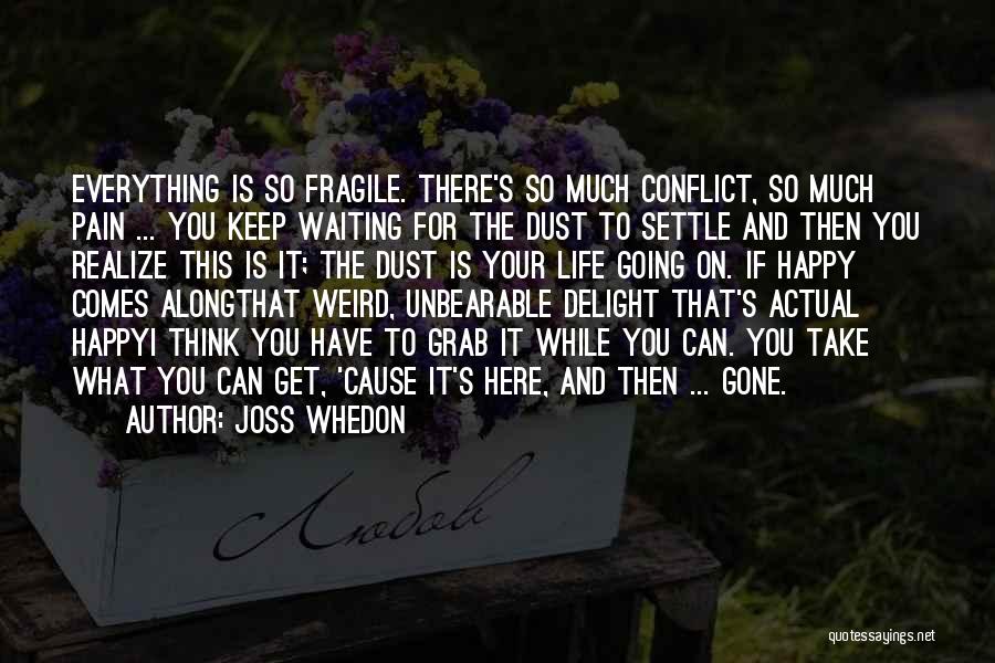 Joss Whedon Quotes: Everything Is So Fragile. There's So Much Conflict, So Much Pain ... You Keep Waiting For The Dust To Settle
