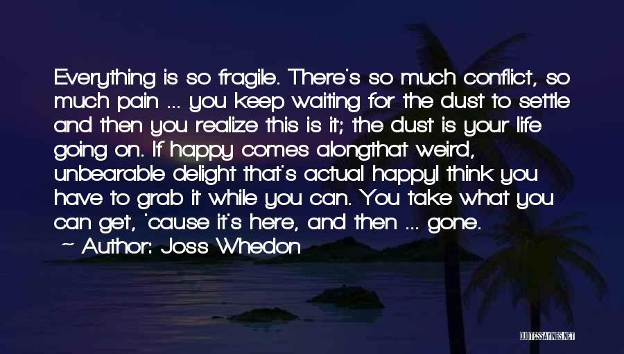 Joss Whedon Quotes: Everything Is So Fragile. There's So Much Conflict, So Much Pain ... You Keep Waiting For The Dust To Settle