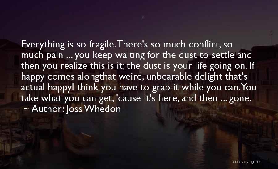 Joss Whedon Quotes: Everything Is So Fragile. There's So Much Conflict, So Much Pain ... You Keep Waiting For The Dust To Settle