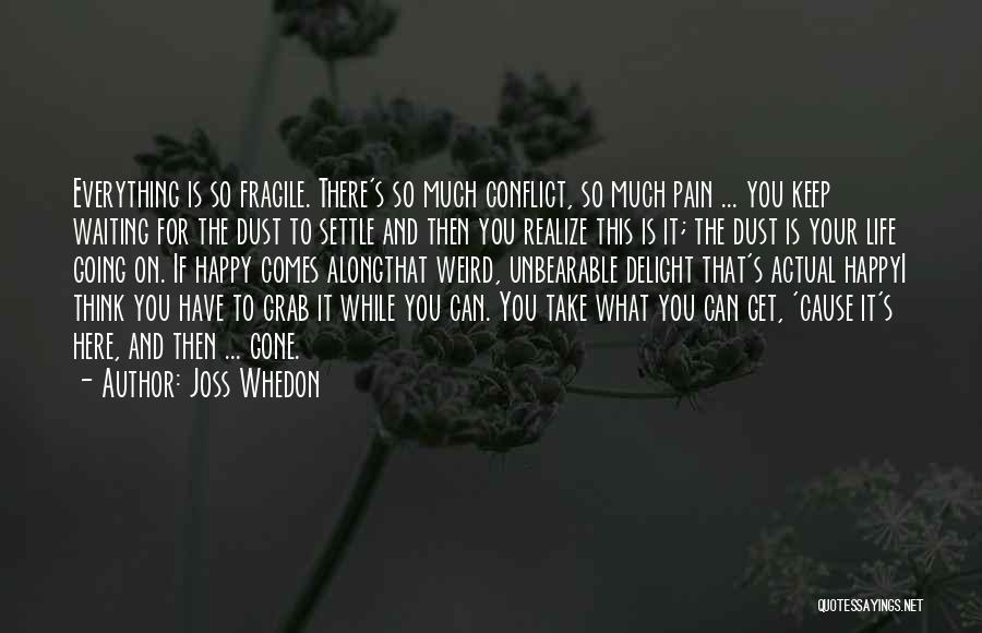 Joss Whedon Quotes: Everything Is So Fragile. There's So Much Conflict, So Much Pain ... You Keep Waiting For The Dust To Settle