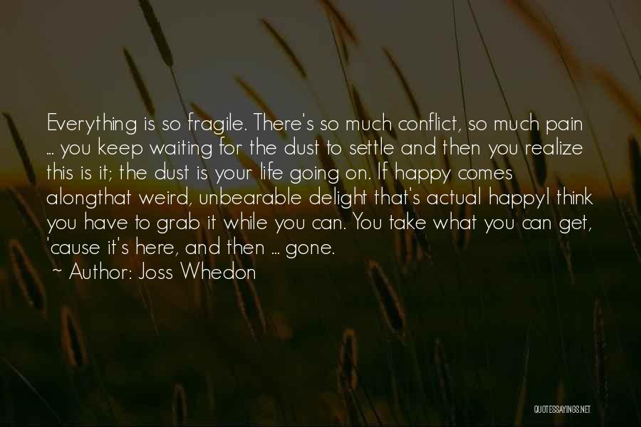 Joss Whedon Quotes: Everything Is So Fragile. There's So Much Conflict, So Much Pain ... You Keep Waiting For The Dust To Settle