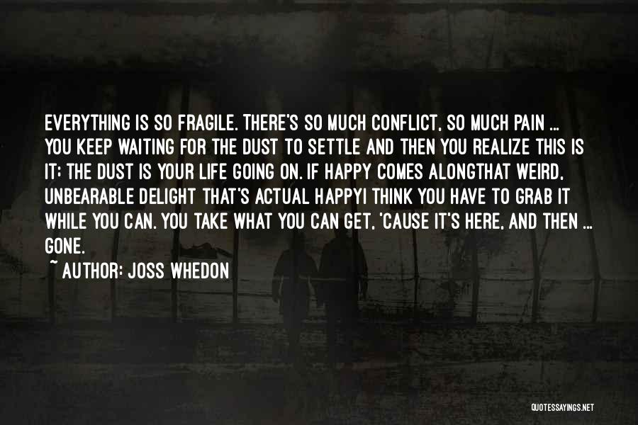 Joss Whedon Quotes: Everything Is So Fragile. There's So Much Conflict, So Much Pain ... You Keep Waiting For The Dust To Settle