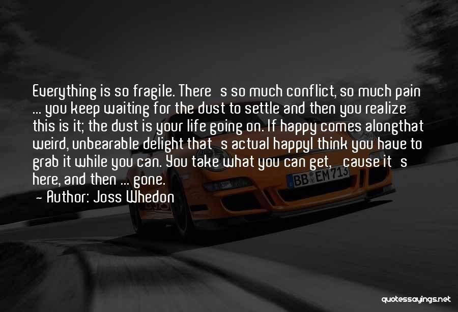 Joss Whedon Quotes: Everything Is So Fragile. There's So Much Conflict, So Much Pain ... You Keep Waiting For The Dust To Settle