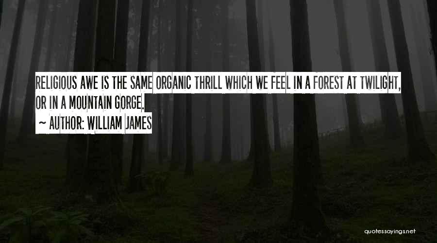 William James Quotes: Religious Awe Is The Same Organic Thrill Which We Feel In A Forest At Twilight, Or In A Mountain Gorge.