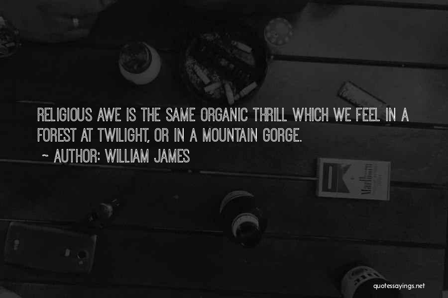 William James Quotes: Religious Awe Is The Same Organic Thrill Which We Feel In A Forest At Twilight, Or In A Mountain Gorge.