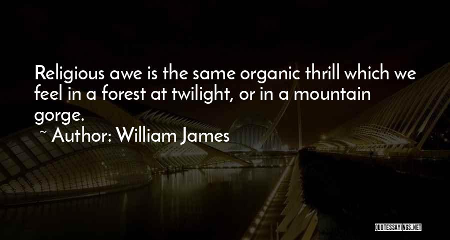 William James Quotes: Religious Awe Is The Same Organic Thrill Which We Feel In A Forest At Twilight, Or In A Mountain Gorge.