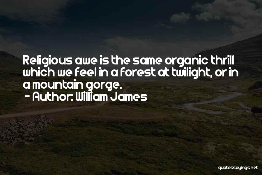 William James Quotes: Religious Awe Is The Same Organic Thrill Which We Feel In A Forest At Twilight, Or In A Mountain Gorge.