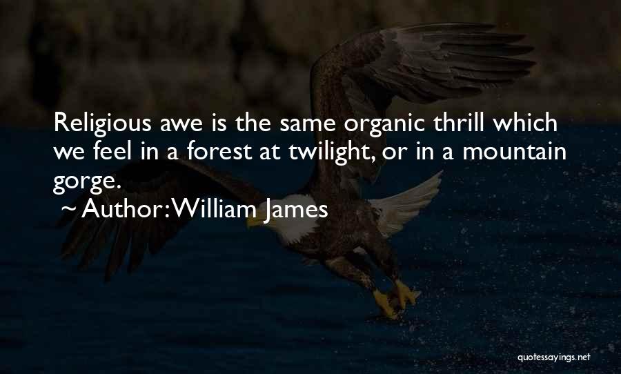 William James Quotes: Religious Awe Is The Same Organic Thrill Which We Feel In A Forest At Twilight, Or In A Mountain Gorge.