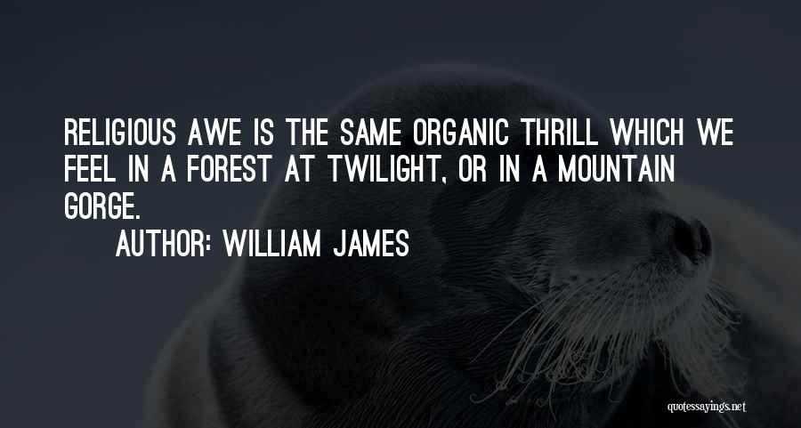 William James Quotes: Religious Awe Is The Same Organic Thrill Which We Feel In A Forest At Twilight, Or In A Mountain Gorge.