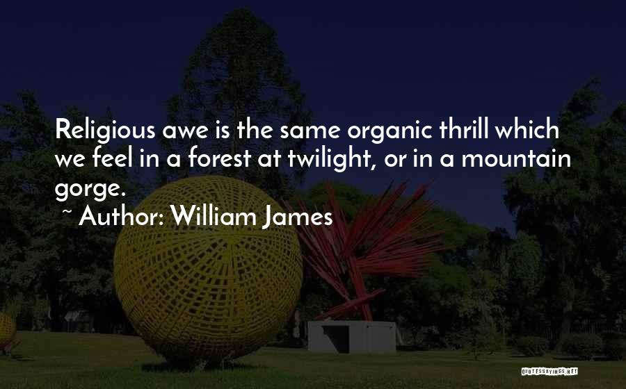 William James Quotes: Religious Awe Is The Same Organic Thrill Which We Feel In A Forest At Twilight, Or In A Mountain Gorge.