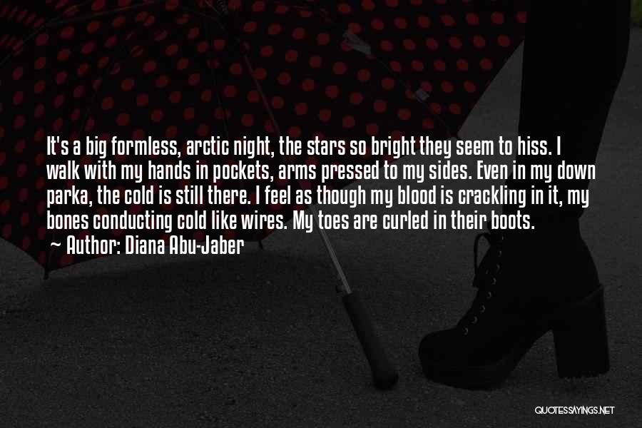 Diana Abu-Jaber Quotes: It's A Big Formless, Arctic Night, The Stars So Bright They Seem To Hiss. I Walk With My Hands In