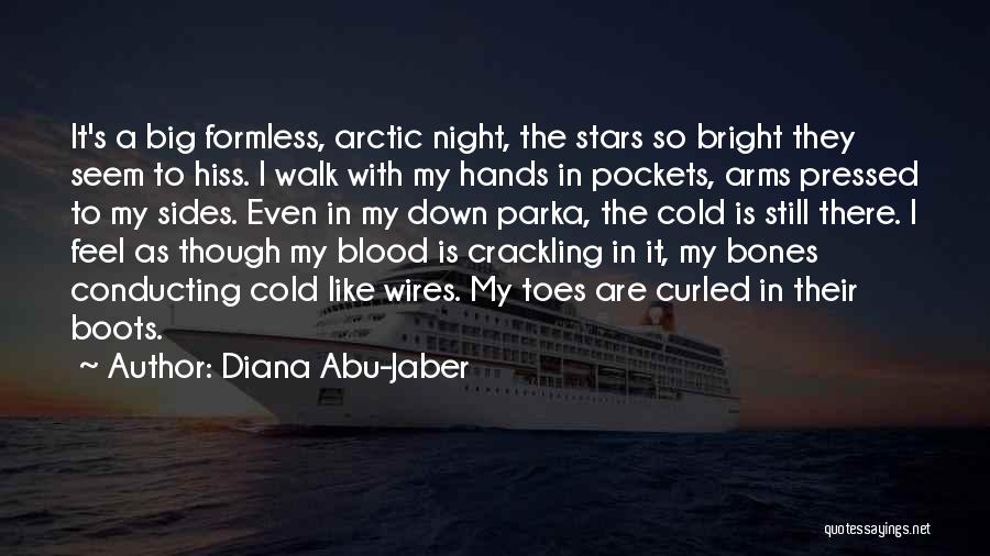 Diana Abu-Jaber Quotes: It's A Big Formless, Arctic Night, The Stars So Bright They Seem To Hiss. I Walk With My Hands In