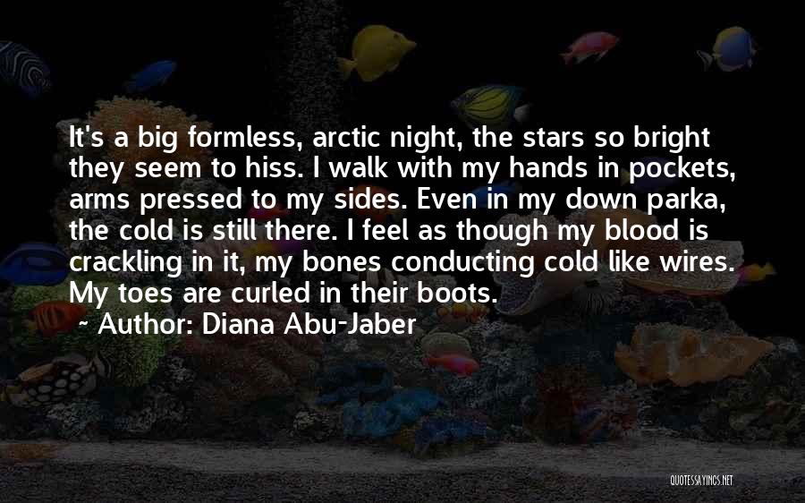 Diana Abu-Jaber Quotes: It's A Big Formless, Arctic Night, The Stars So Bright They Seem To Hiss. I Walk With My Hands In