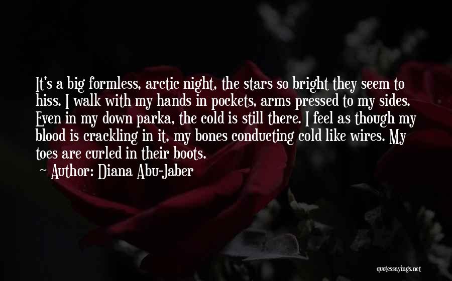 Diana Abu-Jaber Quotes: It's A Big Formless, Arctic Night, The Stars So Bright They Seem To Hiss. I Walk With My Hands In