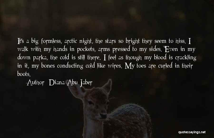 Diana Abu-Jaber Quotes: It's A Big Formless, Arctic Night, The Stars So Bright They Seem To Hiss. I Walk With My Hands In