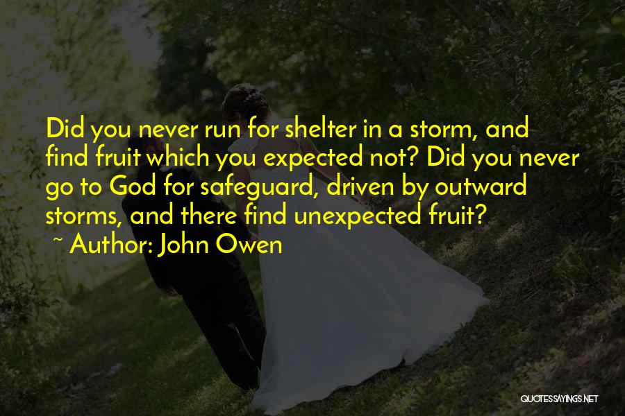 John Owen Quotes: Did You Never Run For Shelter In A Storm, And Find Fruit Which You Expected Not? Did You Never Go