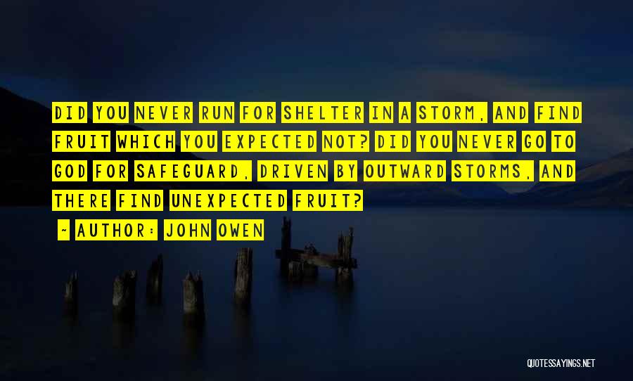 John Owen Quotes: Did You Never Run For Shelter In A Storm, And Find Fruit Which You Expected Not? Did You Never Go