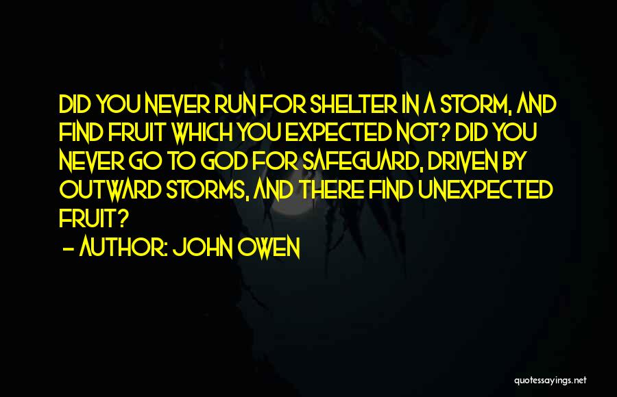 John Owen Quotes: Did You Never Run For Shelter In A Storm, And Find Fruit Which You Expected Not? Did You Never Go