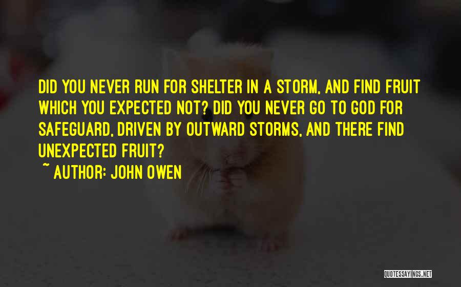 John Owen Quotes: Did You Never Run For Shelter In A Storm, And Find Fruit Which You Expected Not? Did You Never Go