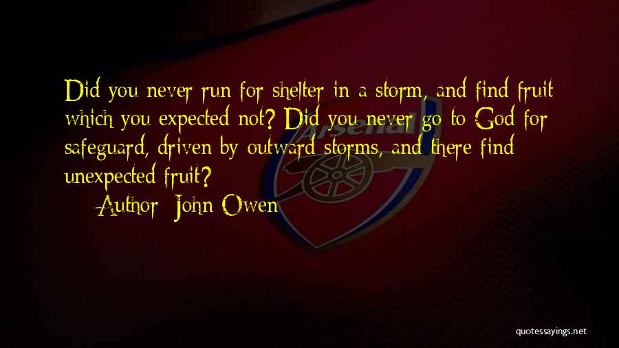 John Owen Quotes: Did You Never Run For Shelter In A Storm, And Find Fruit Which You Expected Not? Did You Never Go