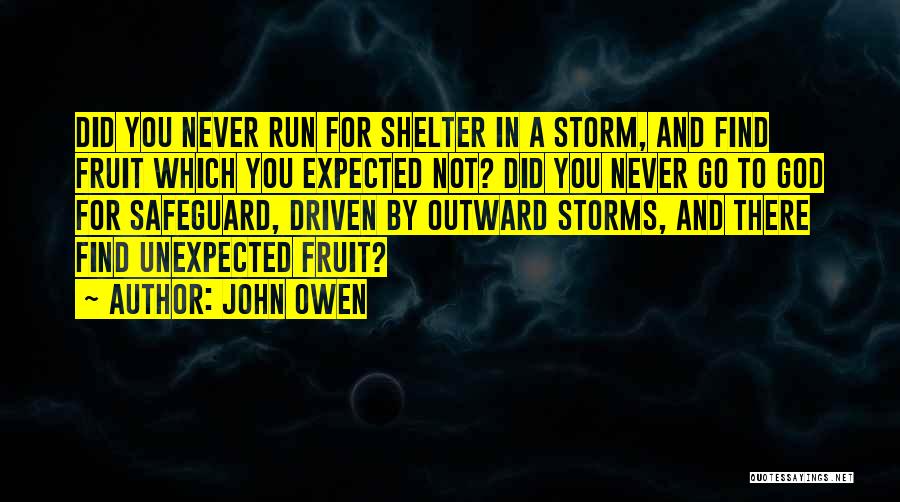 John Owen Quotes: Did You Never Run For Shelter In A Storm, And Find Fruit Which You Expected Not? Did You Never Go