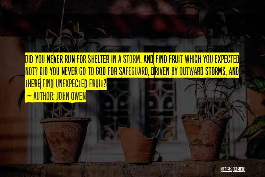 John Owen Quotes: Did You Never Run For Shelter In A Storm, And Find Fruit Which You Expected Not? Did You Never Go