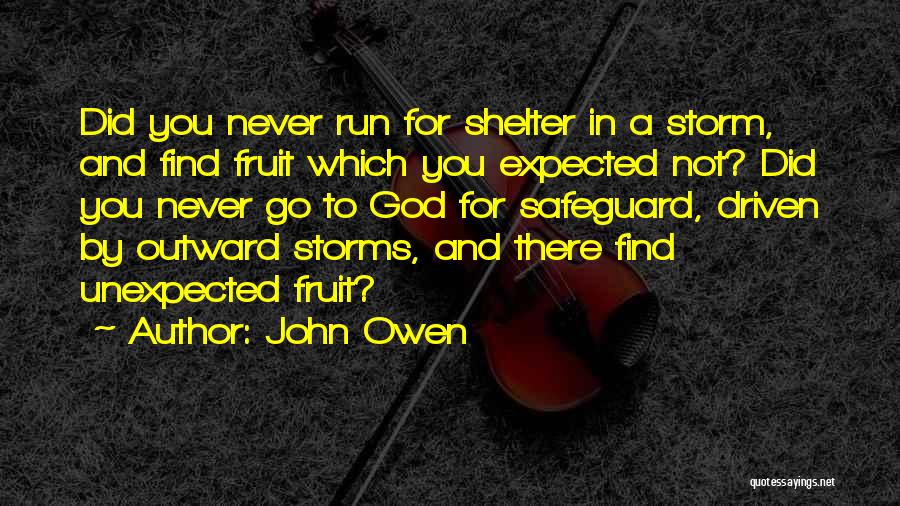 John Owen Quotes: Did You Never Run For Shelter In A Storm, And Find Fruit Which You Expected Not? Did You Never Go