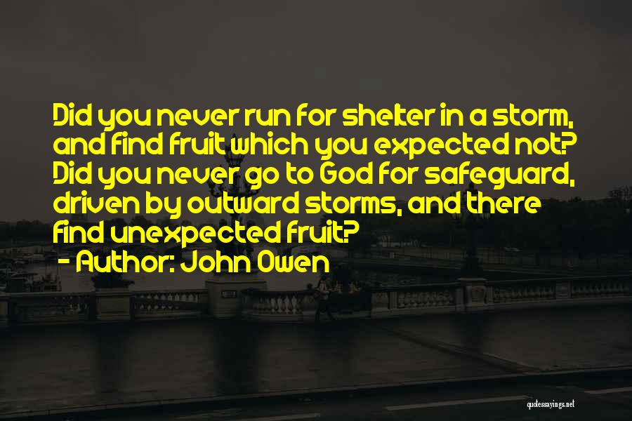 John Owen Quotes: Did You Never Run For Shelter In A Storm, And Find Fruit Which You Expected Not? Did You Never Go