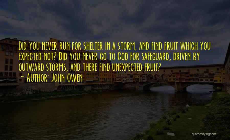 John Owen Quotes: Did You Never Run For Shelter In A Storm, And Find Fruit Which You Expected Not? Did You Never Go