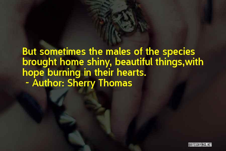 Sherry Thomas Quotes: But Sometimes The Males Of The Species Brought Home Shiny, Beautiful Things,with Hope Burning In Their Hearts.