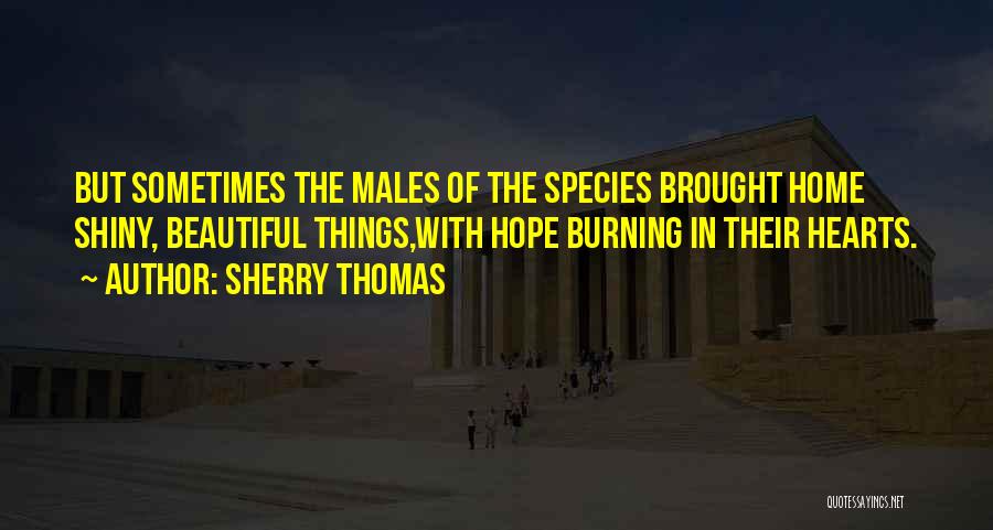 Sherry Thomas Quotes: But Sometimes The Males Of The Species Brought Home Shiny, Beautiful Things,with Hope Burning In Their Hearts.