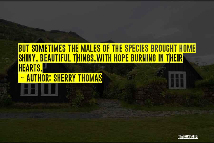 Sherry Thomas Quotes: But Sometimes The Males Of The Species Brought Home Shiny, Beautiful Things,with Hope Burning In Their Hearts.