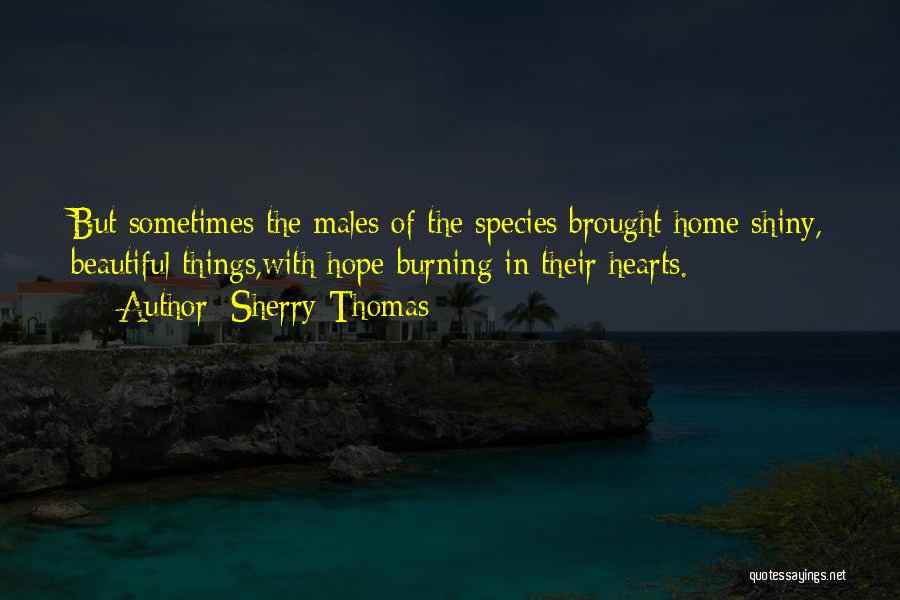 Sherry Thomas Quotes: But Sometimes The Males Of The Species Brought Home Shiny, Beautiful Things,with Hope Burning In Their Hearts.