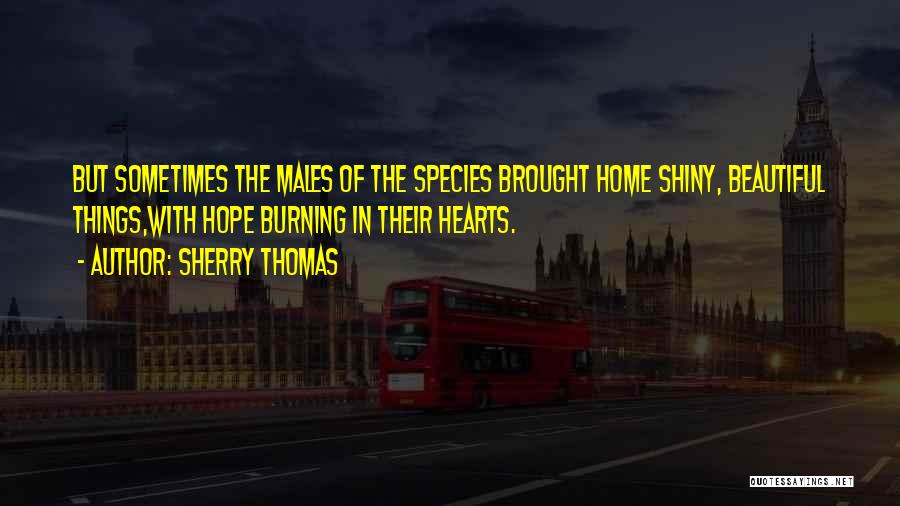 Sherry Thomas Quotes: But Sometimes The Males Of The Species Brought Home Shiny, Beautiful Things,with Hope Burning In Their Hearts.