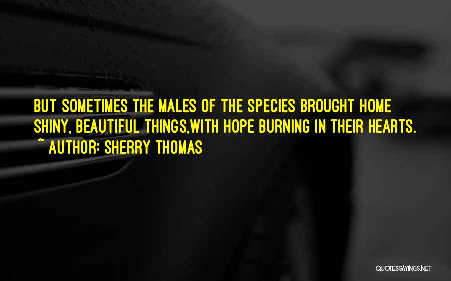 Sherry Thomas Quotes: But Sometimes The Males Of The Species Brought Home Shiny, Beautiful Things,with Hope Burning In Their Hearts.