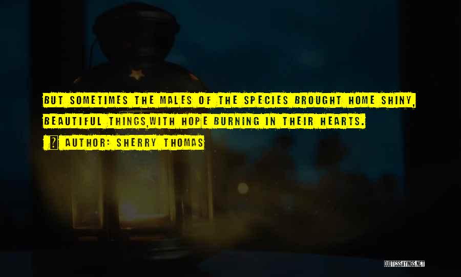 Sherry Thomas Quotes: But Sometimes The Males Of The Species Brought Home Shiny, Beautiful Things,with Hope Burning In Their Hearts.