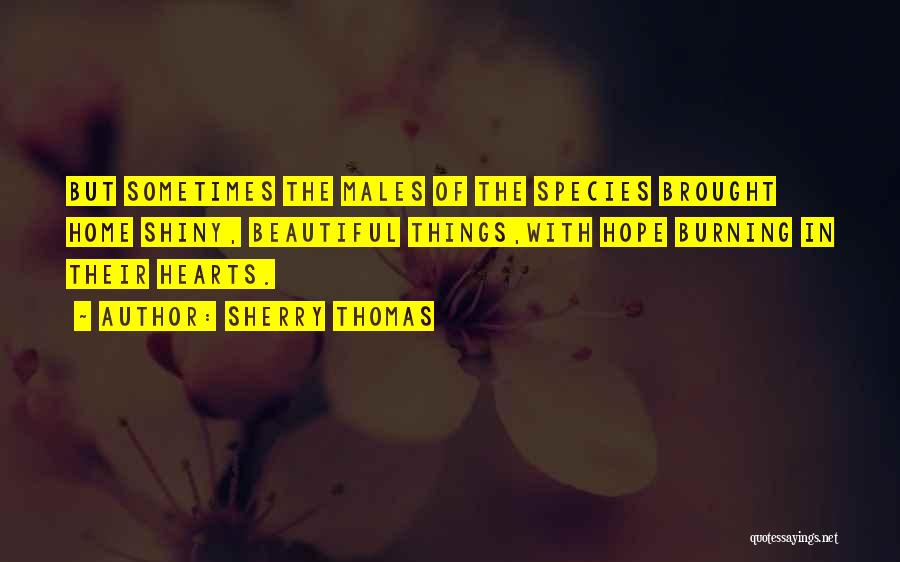 Sherry Thomas Quotes: But Sometimes The Males Of The Species Brought Home Shiny, Beautiful Things,with Hope Burning In Their Hearts.
