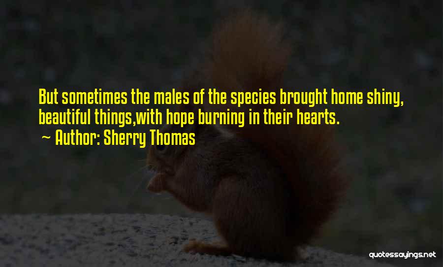 Sherry Thomas Quotes: But Sometimes The Males Of The Species Brought Home Shiny, Beautiful Things,with Hope Burning In Their Hearts.