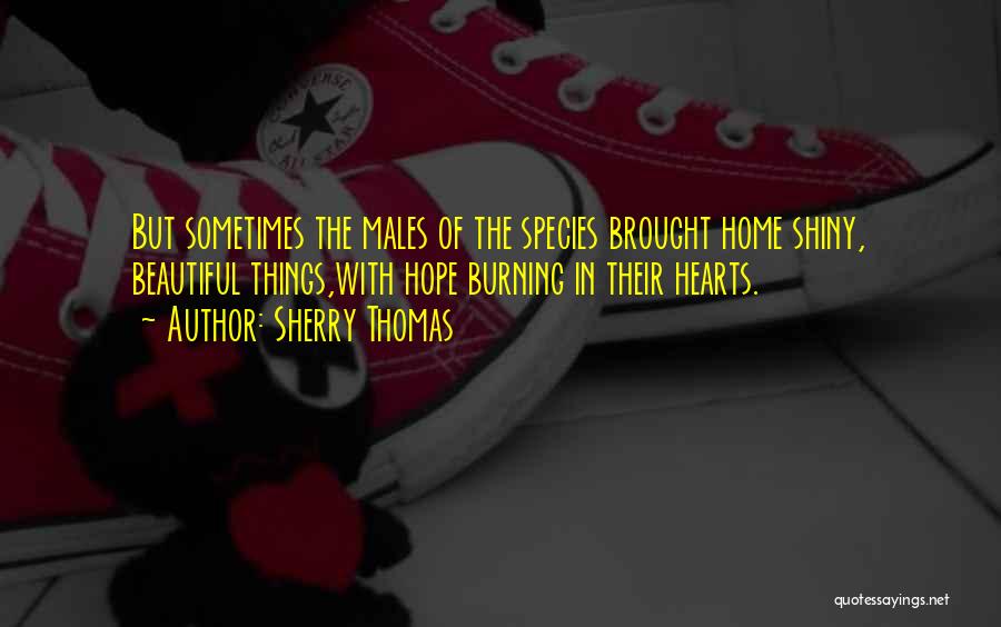 Sherry Thomas Quotes: But Sometimes The Males Of The Species Brought Home Shiny, Beautiful Things,with Hope Burning In Their Hearts.
