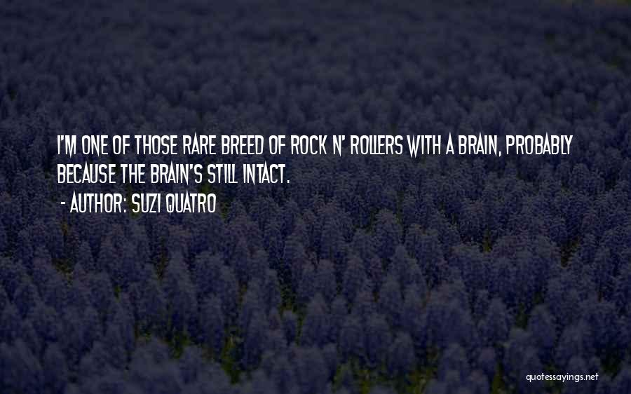 Suzi Quatro Quotes: I'm One Of Those Rare Breed Of Rock N' Rollers With A Brain, Probably Because The Brain's Still Intact.