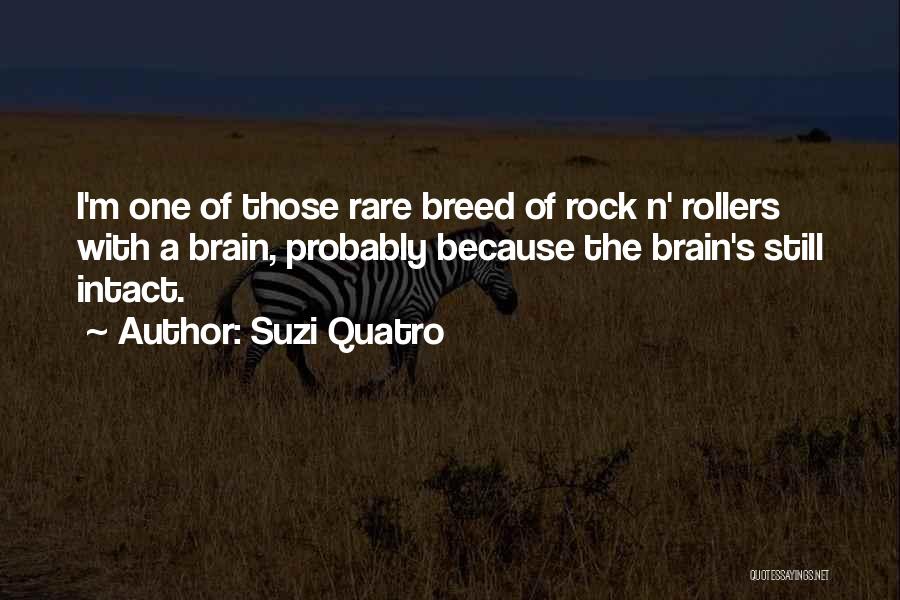 Suzi Quatro Quotes: I'm One Of Those Rare Breed Of Rock N' Rollers With A Brain, Probably Because The Brain's Still Intact.