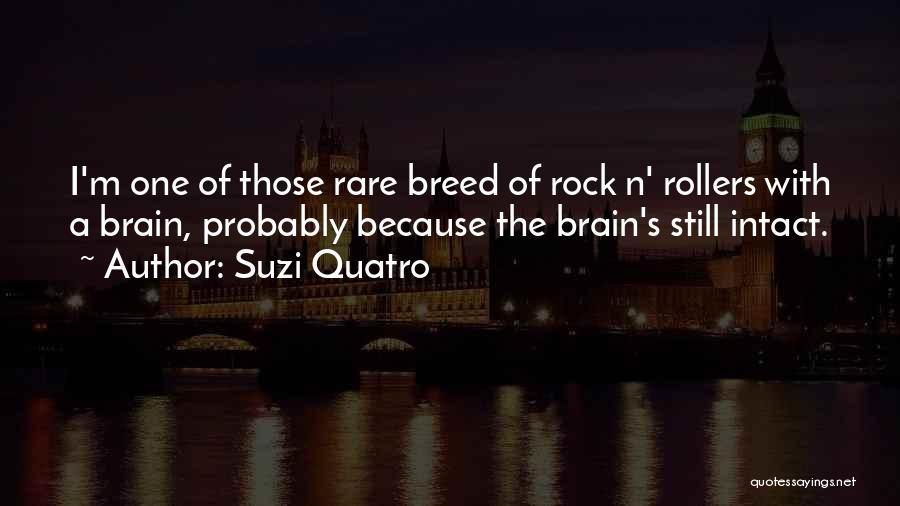 Suzi Quatro Quotes: I'm One Of Those Rare Breed Of Rock N' Rollers With A Brain, Probably Because The Brain's Still Intact.